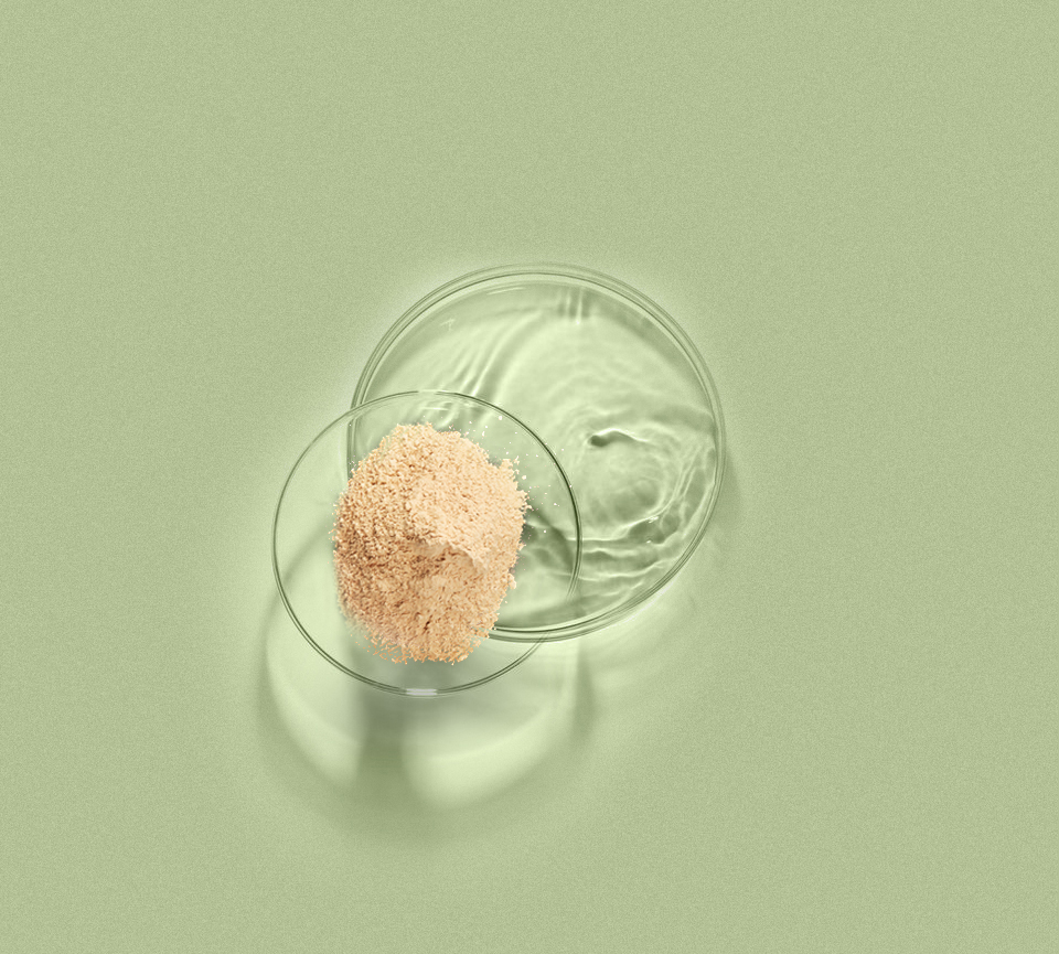 Bwin·必赢亚洲(CHINA)官方网站-安全入口