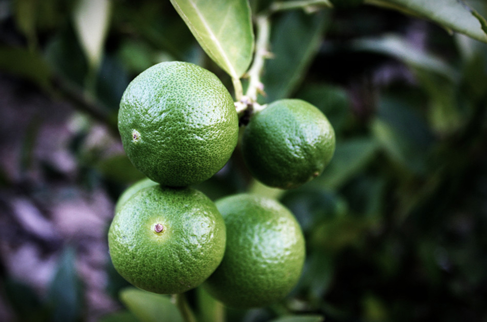 Bwin·必赢亚洲(CHINA)官方网站-安全入口