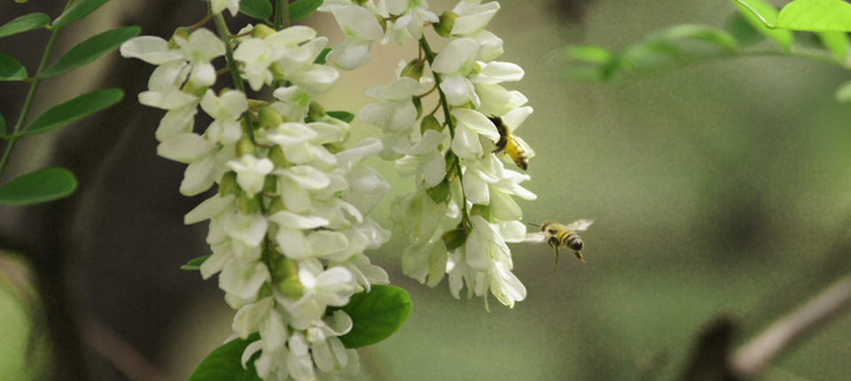 Bwin·必赢亚洲(CHINA)官方网站-安全入口