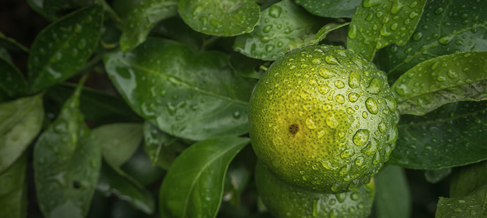 Bwin·必赢亚洲(CHINA)官方网站-安全入口